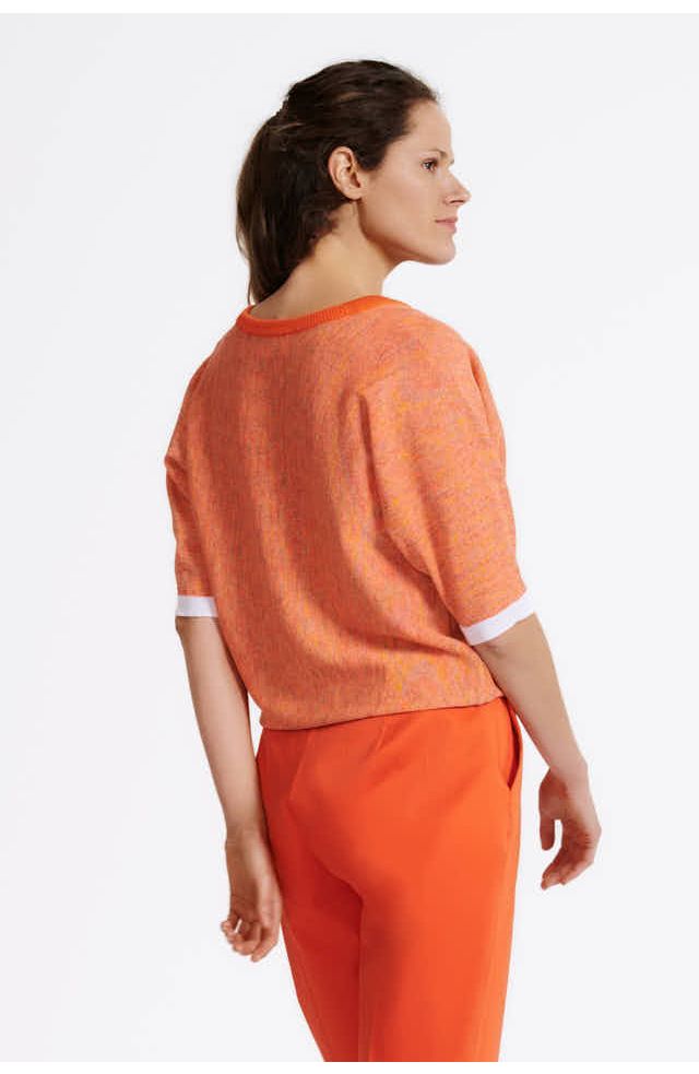 top Pixie