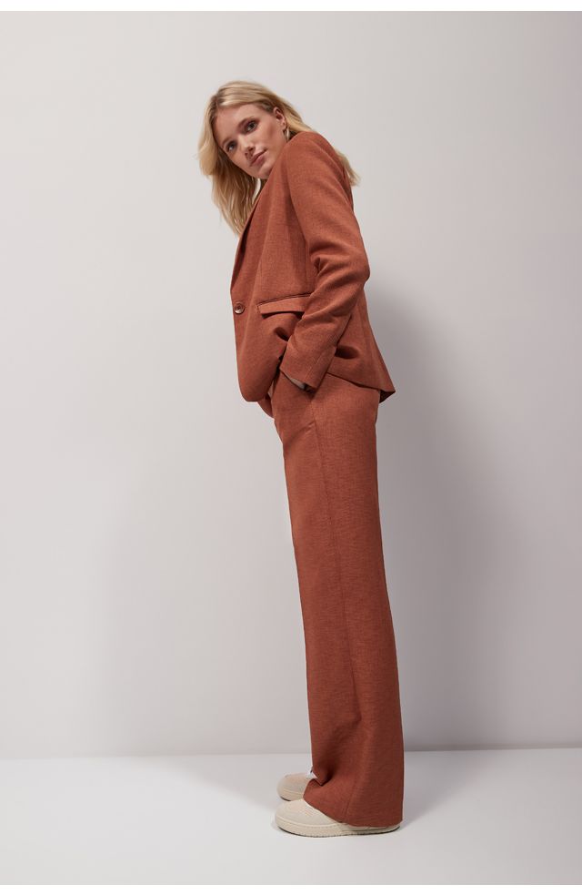 blazer Lini