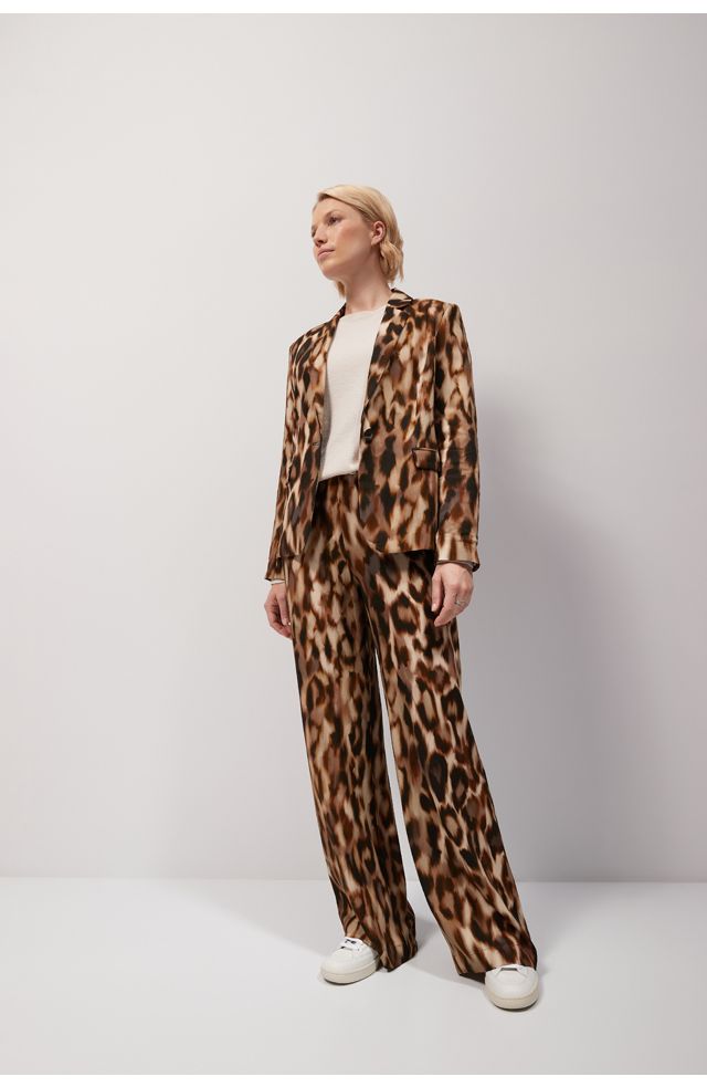 blazer Lini